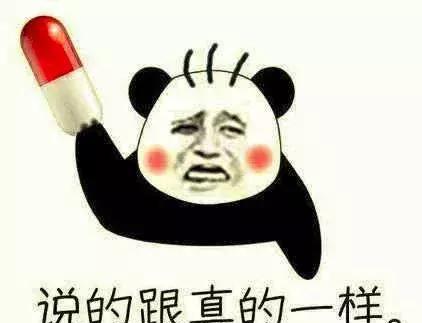 莱卡|卖得了萌，打得了架，这只大黄蜂请领回家吧！