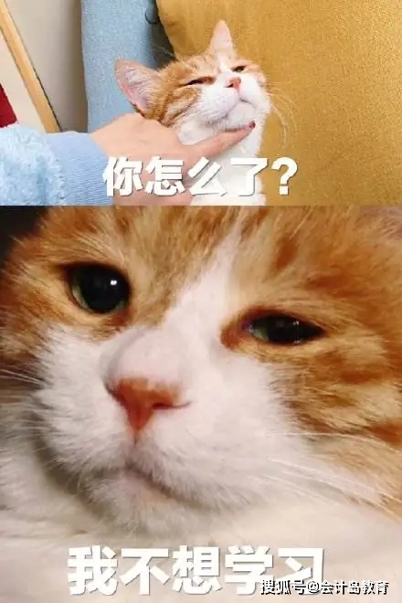 1f10b9310c7a44d8ae797ae6135fe6b5.jpeg