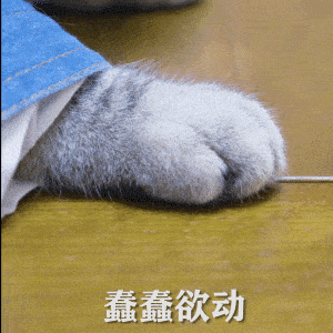 玛吉为什么她会从整形模板翻车成馒化代表？