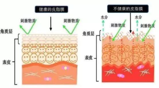 玛吉为什么她会从整形模板翻车成馒化代表?