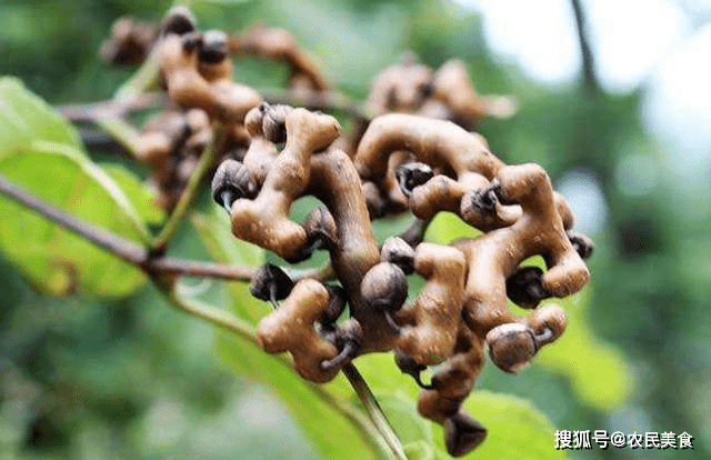 名字|小时候在农村吃过的零食，吃过3种以上的是80后，全吃过的是大叔