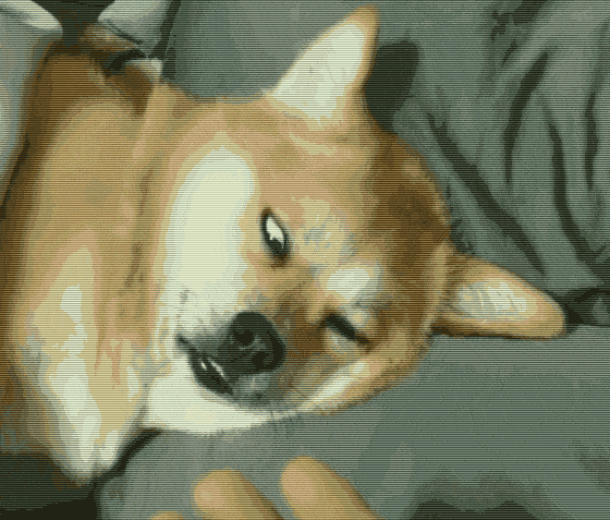 b9435c6407d7421e81f4424512bb3f78.gif