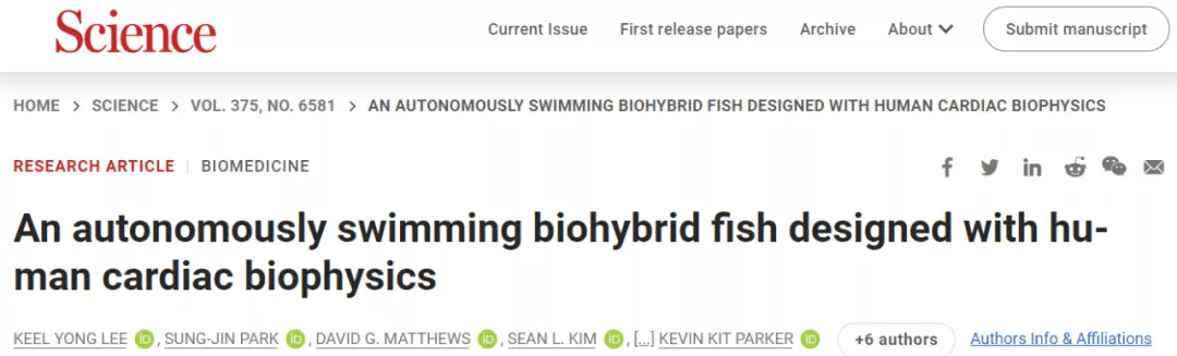 真鱼|用人类心脏细胞造机器鱼,游泳速度比真鱼还快,哈佛新研究登上Science