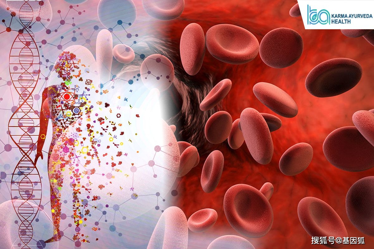 经验分享单基因遗传疾病的基因疗法