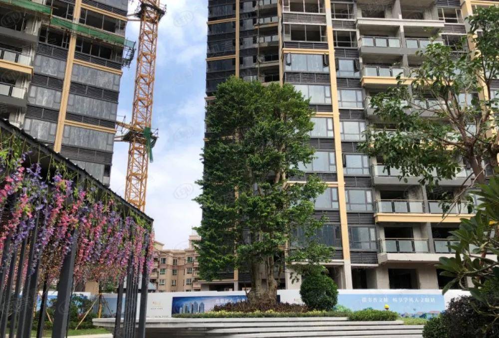 便宜的房子值不值得购买 1a2bc9743e6b4c9586aecee9564d6e49.jpeg