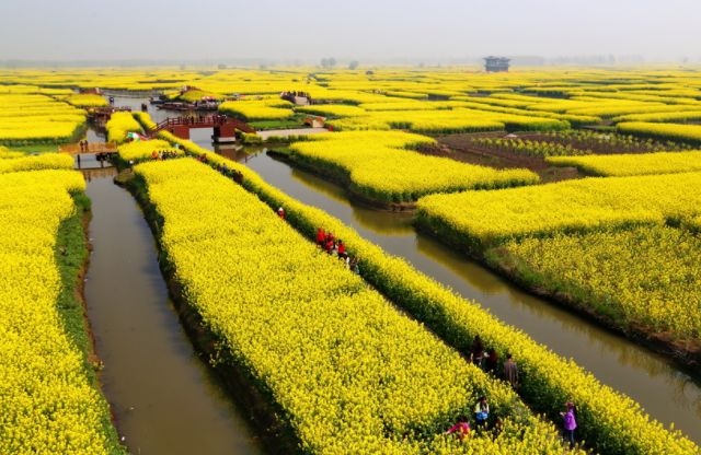 兴化人口_江苏泰州人口第一大县市,总人口达112.8万人,旅游资源很丰富