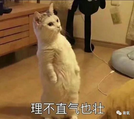 对比鼻基底对面部的影响有多大?