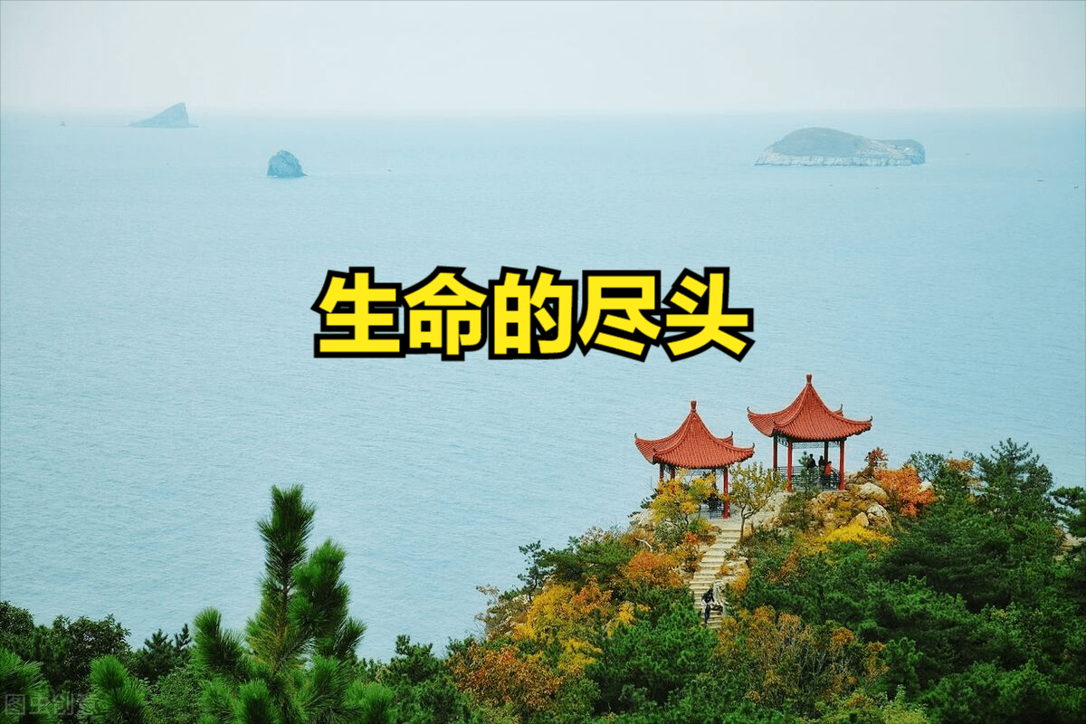 生命的尽头《随笔》_病房_什么_社会