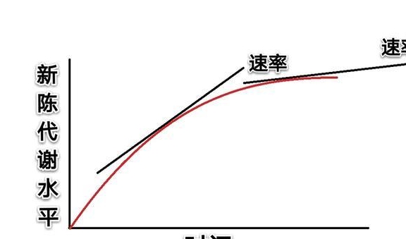 水平内胚型人就该长胖？别让谣言害了你，学会方法吃出好身材