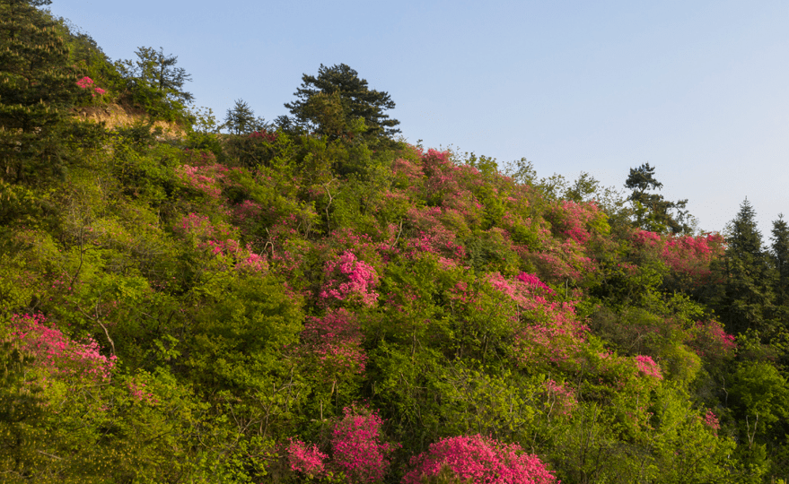 河南一个“必去景区”，优美风景令人心旷神怡，未来或与泰山齐肩