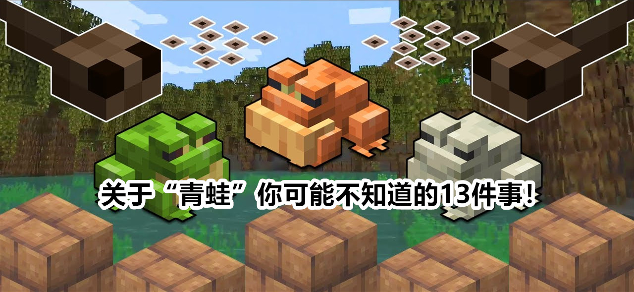 我的世界 1 19新生物 青蛙 你可能不知道的13个有趣特性 小蝌蚪 史莱姆 这是因为 我的世界 1 19新生物 青蛙 你可能不知道的13个有趣特性 小蝌蚪 史莱姆 这是因为