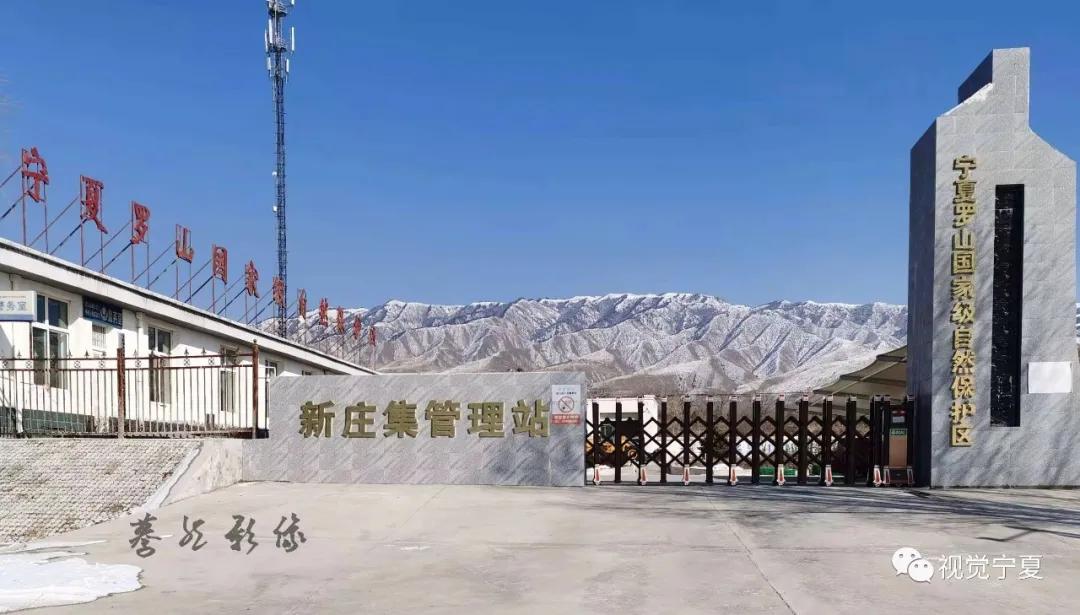 图说丨走进宁夏罗山,寻找静谧幽远的神话_自然保护区_荒漠化_圪塔
