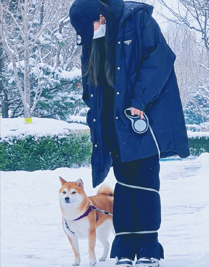 过程 杨幂看着和小女孩一样，下雪天穿着笨重棉服出门，圆圆鼓鼓很可爱