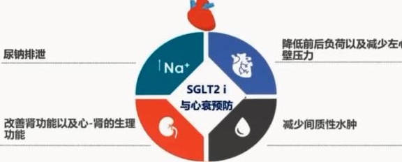 降低|两类新型降糖药，都能明确保护心肾，两者有何不同？从5方面说清