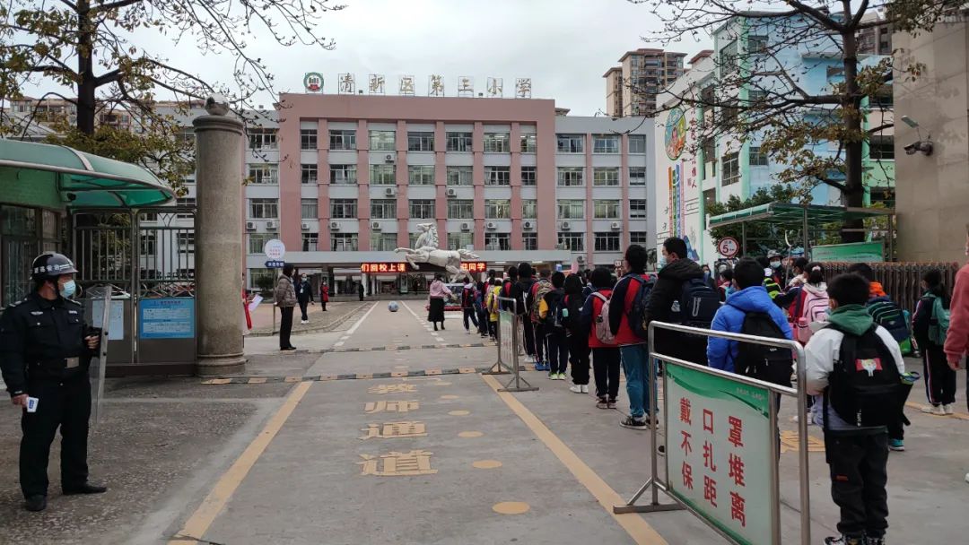 区四小·区五小·区六小·龙颈镇中心小学·南执育苗小学·太平镇