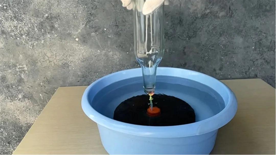 原创魔力科学小实验一个玻璃瓶上演龙吸水奇观这种瓶子你家肯定有