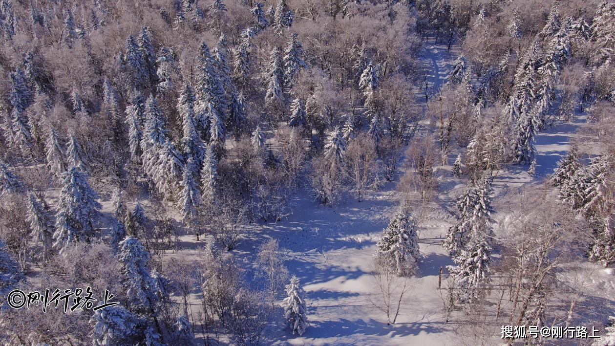 雪乡|中国东北冬天最美公路，亚雪公路雾凇长廊打卡