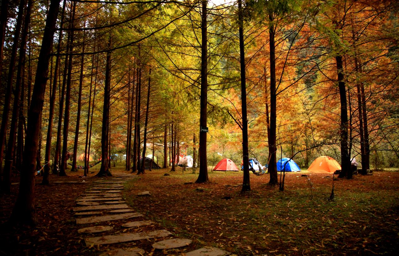 值得一提的是,本次年卡可畅游的10个景区包括千野草场,大风堡,西沱