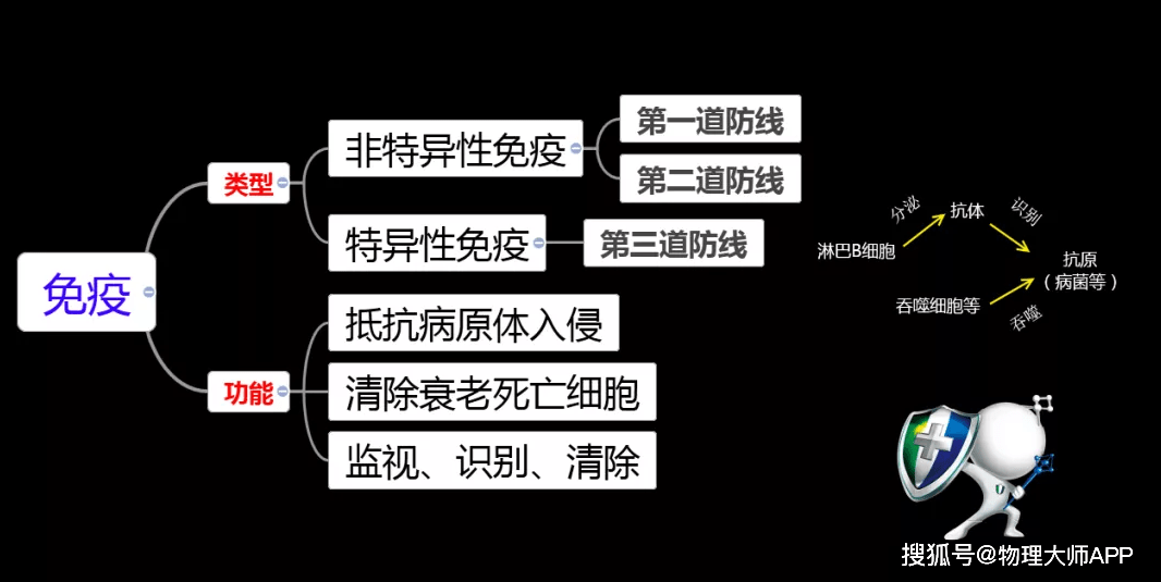 ac0aac30a34a48398a07be504f081d8f.png