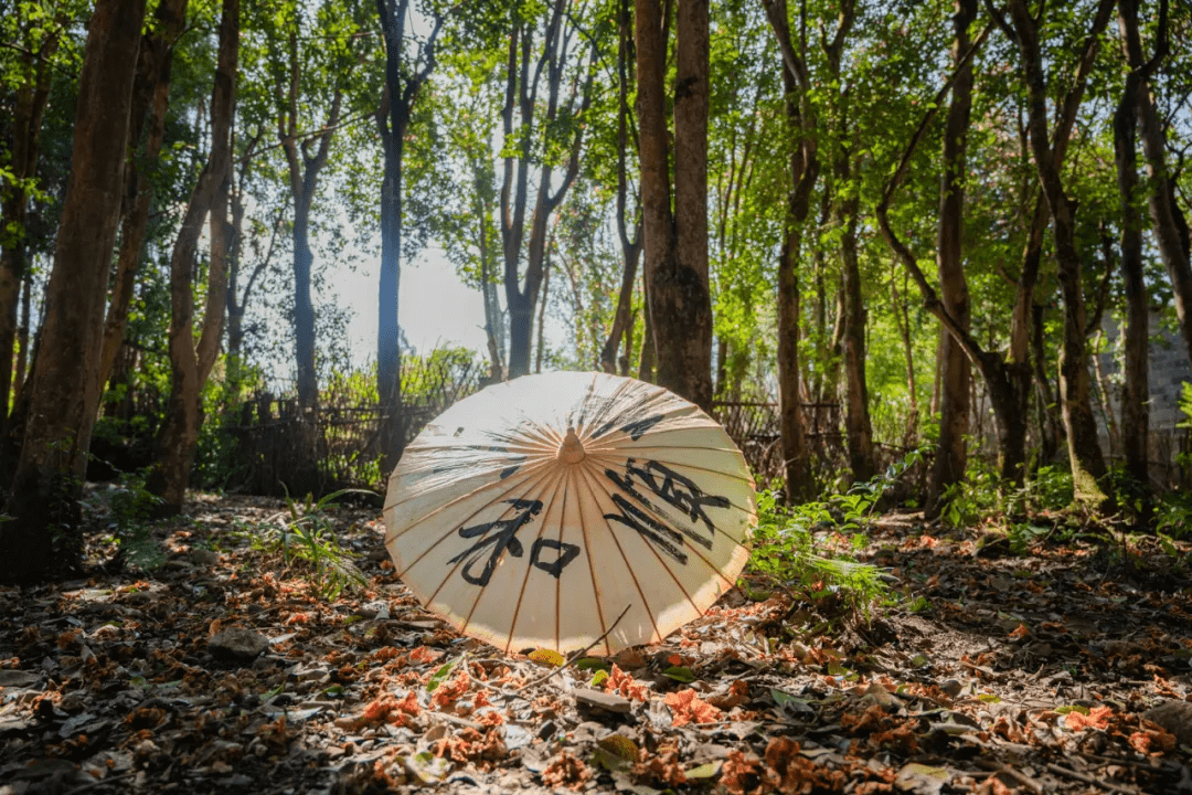 奖杯|“幸福腾冲 花开和睦”摄影大赛等你参与，超多大奖等你来拿！