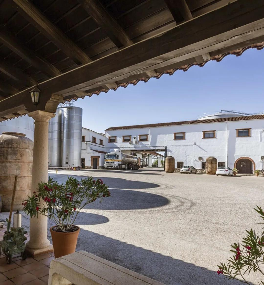 西班牙蒙特谷酒庄拥有4500公顷葡萄园的拉曼查顶级酒庄