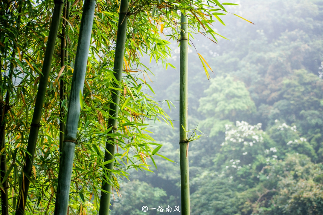 广州|广州“偏远”郊区，虽然山地众多，但景色迷人，被誉为后花园