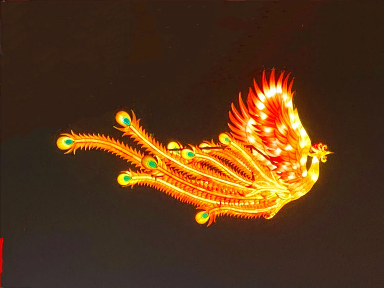 火凤凰.▲盏盏宫灯.▲虎虎生威.▲跨越时空.▲巨龙昂首.