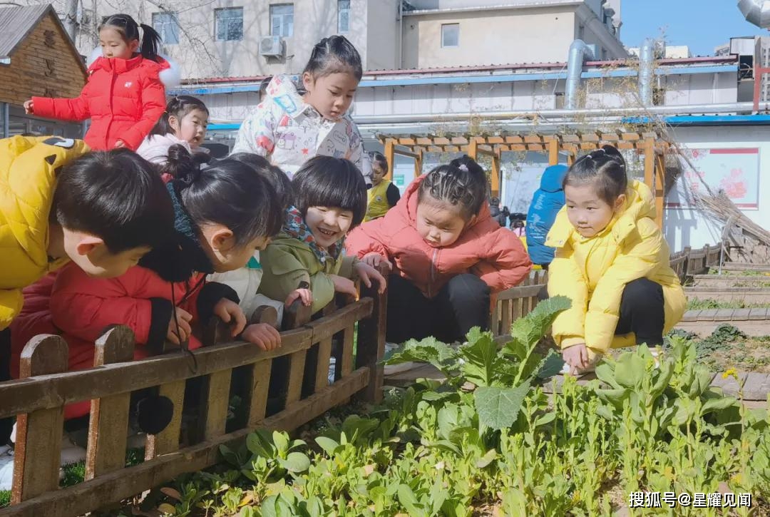 冰墩|蓄力虎年 一起向未来——三门峡市第二实验幼儿园2022年春季开学第一天