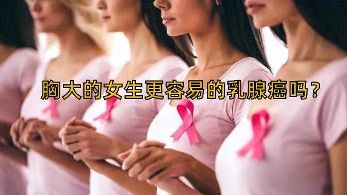 乳房主要由乳腺腺體和脂肪組成,胸大胸小,主要看乳腺中脂肪多少.