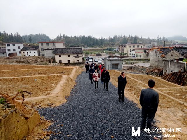 汝城卢阳镇党委书记图片