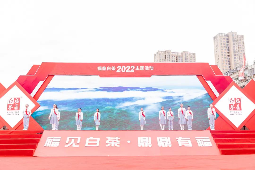 活动|2022“白茶庆冬奥，一起向未来”福鼎白茶主题活动顺利举行！