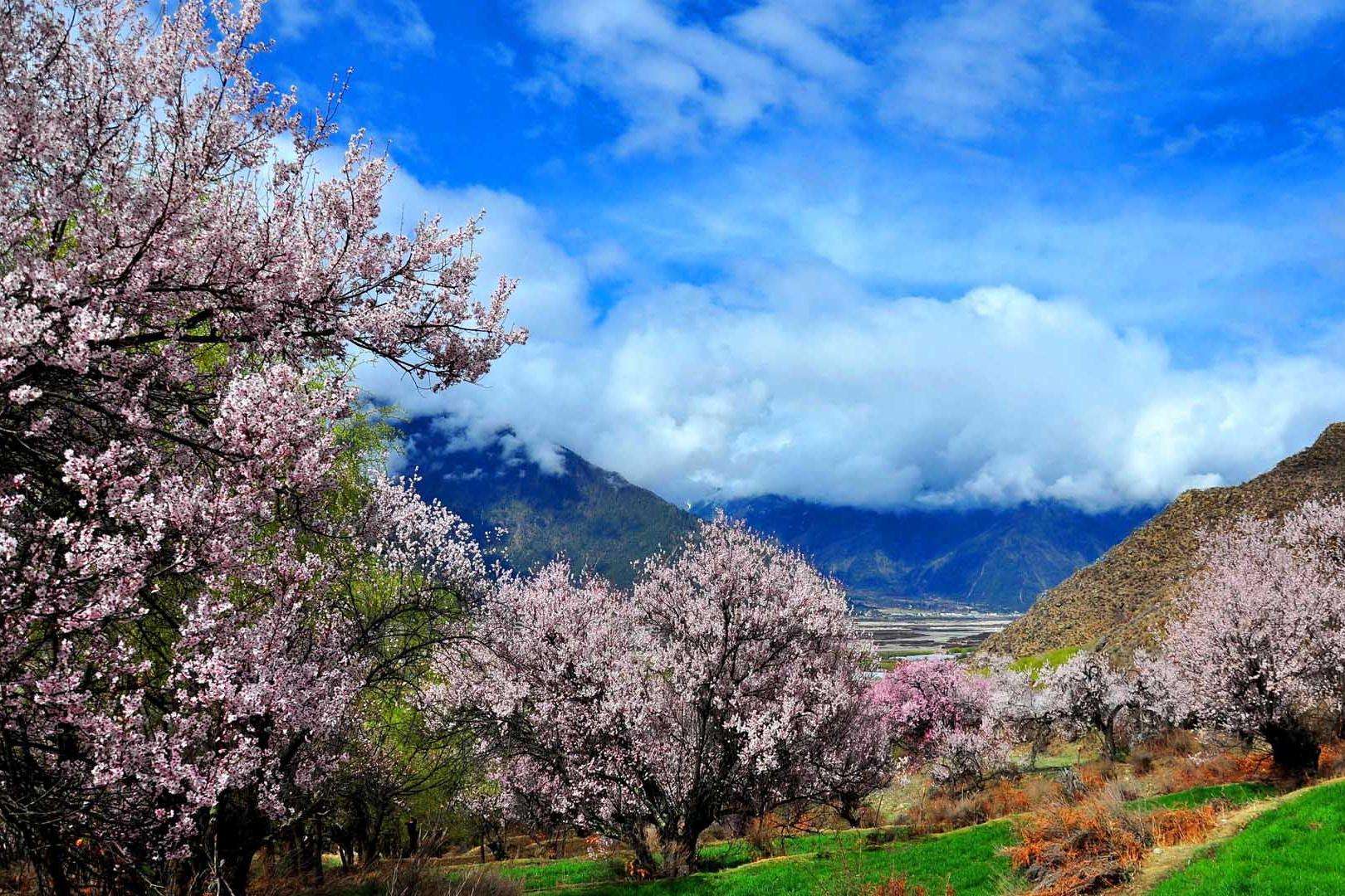 惠娅_波密县_朗县