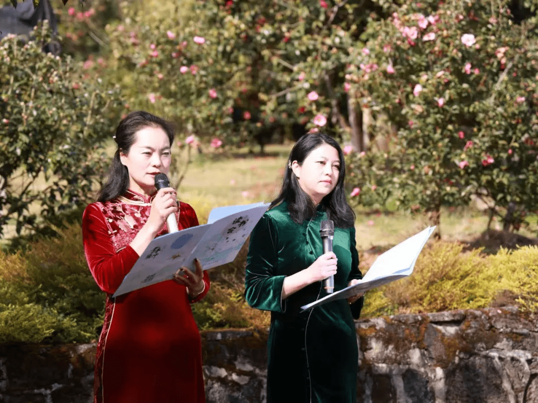 花朵|腾冲来凤茶花园里春色满园