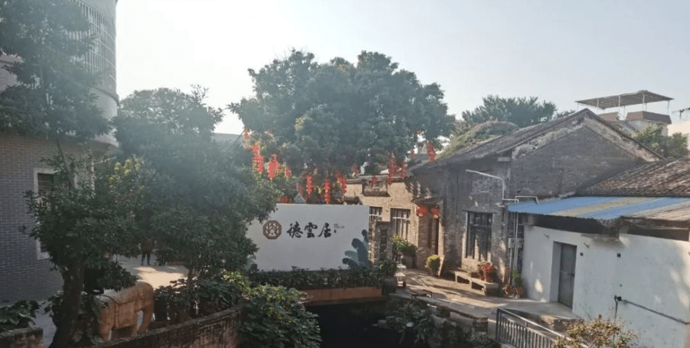 寻味顺德隐藏在碧江古村的德云居德云二字是何来历