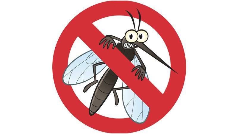 捕蚊灯,灭蚊拍:利用蚊子的趋光性以及对波长的敏感性,将蚊子吸引来后