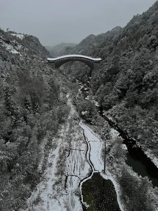 泰顺下20年一遇的大雪,摄影师倾巢出动,廊桥成主角_世界_龟头_北涧