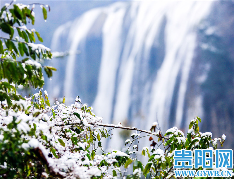 游客|今天，贵州黄果树银装素裹，水雾漫腾（附游玩攻略）