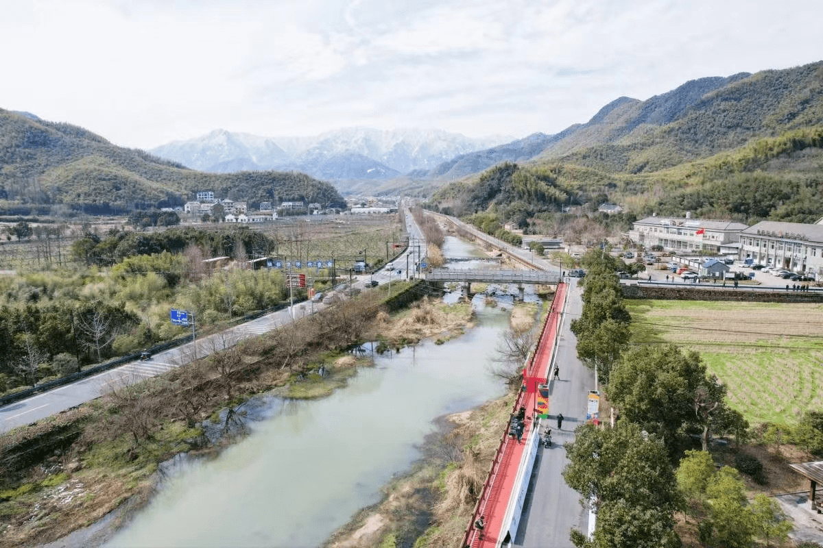 鸬鸟镇_赛事_选手