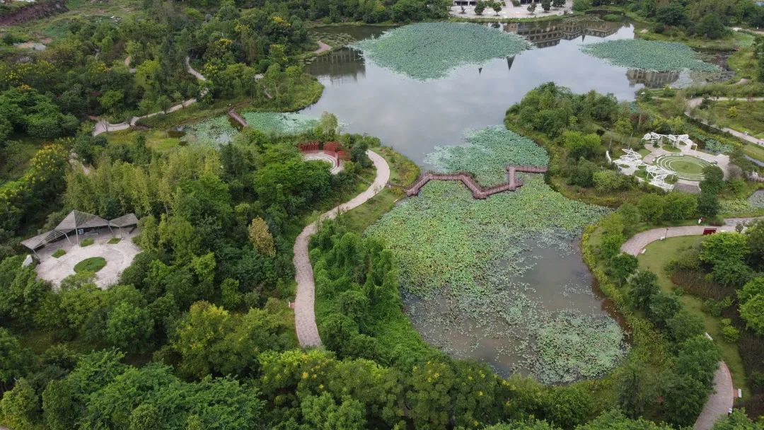 【合江房价怎样】诚信·上林苑|为什么选择上林苑?