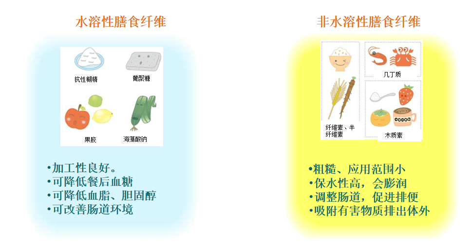 纖維素,半纖維素和木質素是3種常見的非水溶性纖維,存在於植物細胞壁