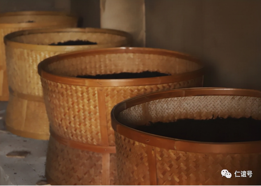 福鼎|云南古树白茶VS福建白茶