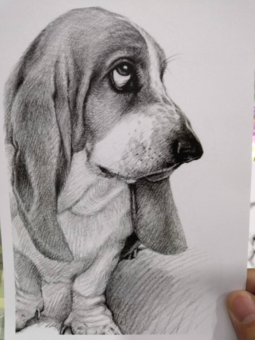 杭州画室学习_素描入门_铅笔_艺术_线条