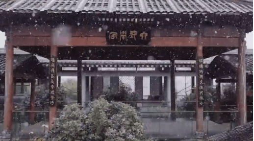 美得|花溪的绝美雪景，让您“醉”在如梦如幻的“人间仙境”里