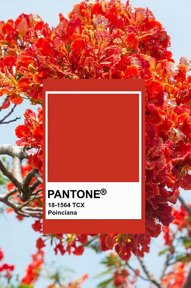 Pantone 2022春夏最IN十大流行色，美炸了！