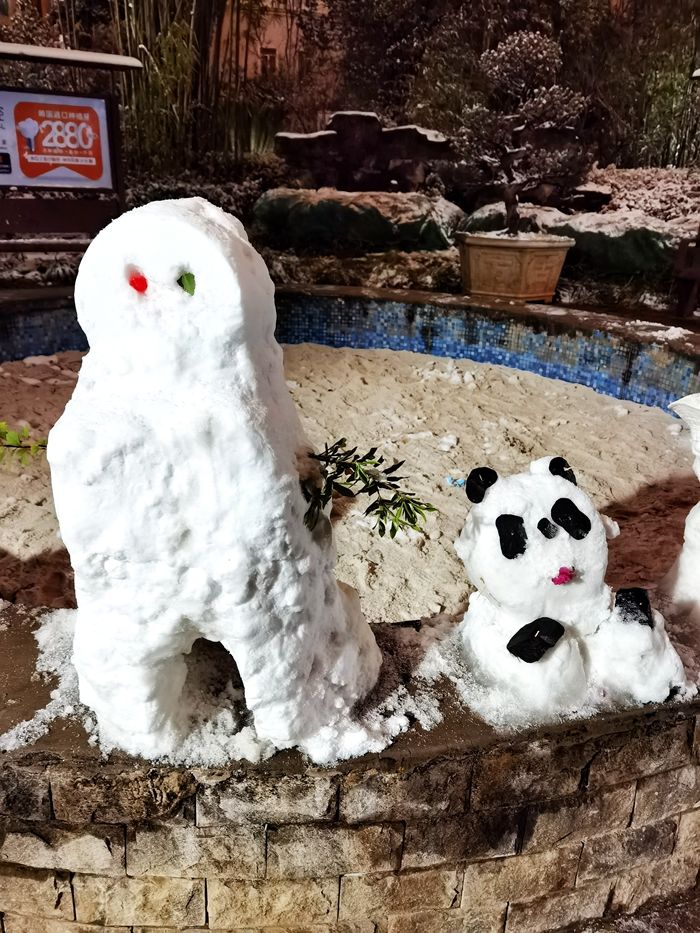 日子|昆明下雪了！春城的雪景真美丽！