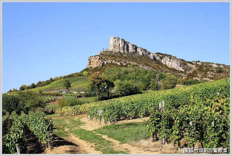 勃艮第葡萄酒之普依富塞(pouilly fuisse)及其外围地区葡萄酒_产区