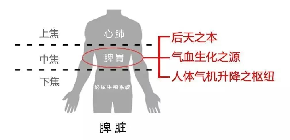 哪些黄色食物补脾又养胃