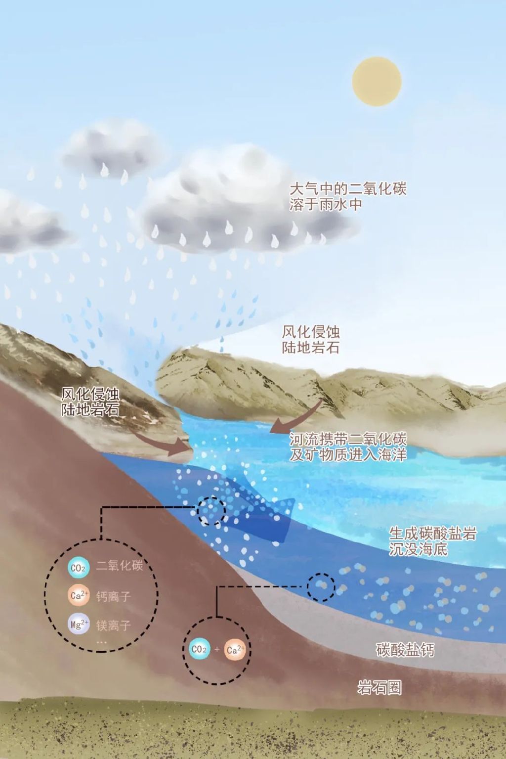 海洋是能力出众的捕碳者快来了解海洋碳汇助力实现双碳目标