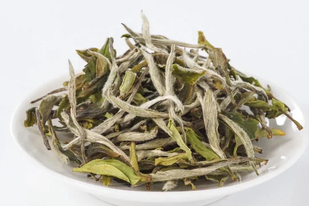 福鼎|权威解答！福鼎白茶抗辐射功效为何如此显著？！