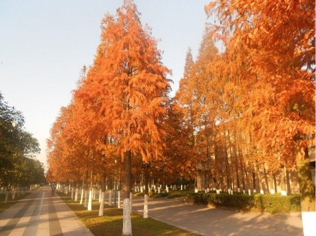 湖北好一点的二本大学_湖北二本好的大学_湖北二本好学校